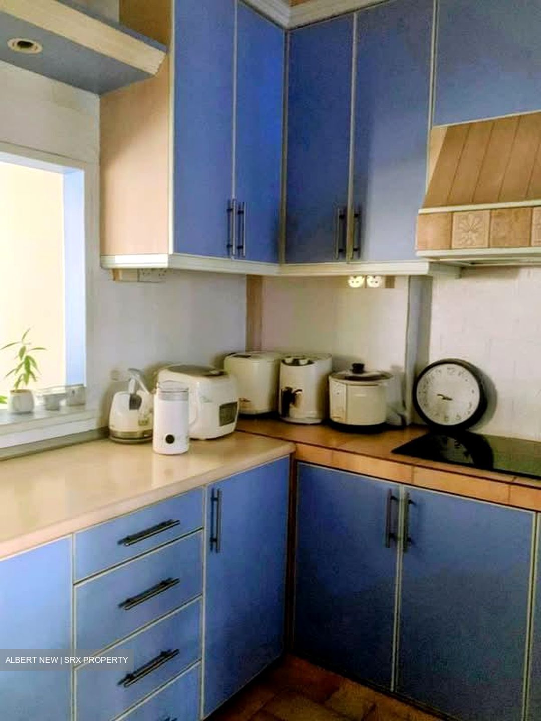 Blk 524 Pangshan Valley (Bukit Panjang), HDB 5 Rooms #558235501